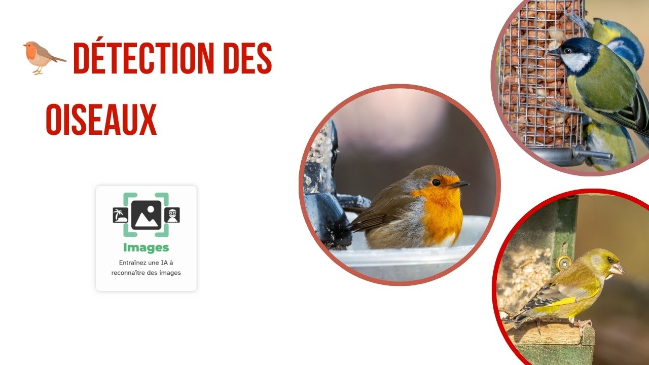 Illustration du tutoriel